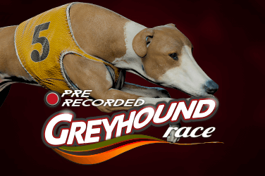 Prerecorded Dogs
